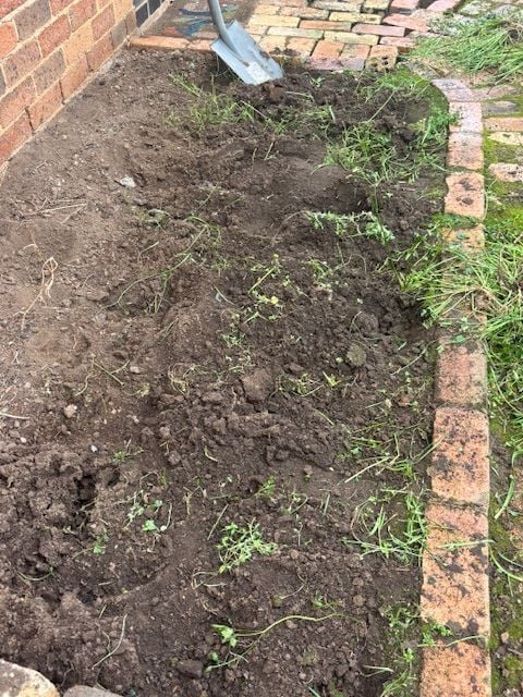 IMG_1578.jpg IMG_1578.jpg