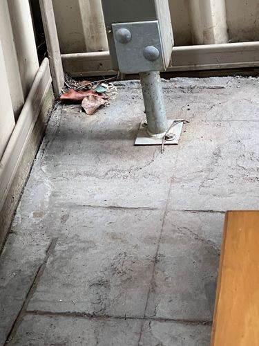 IMG_4320.jpeg IMG_4320.jpeg