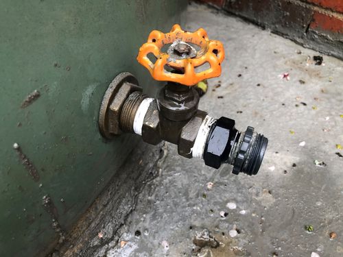 rainwater.jpg rainwater.jpg