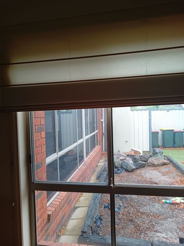 IMG_20250426_113657551.jpg IMG_20250426_113657551.jpg