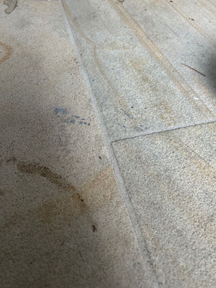 thumbnail_IMG_39290E4A-EE92-41CD-ABEE-863ACBB45674.jpg thumbnail_IMG_39290E4A-EE92-41CD-ABEE-863ACBB45674.jpg