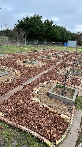 IMG_4689.jpeg IMG_4689.jpeg