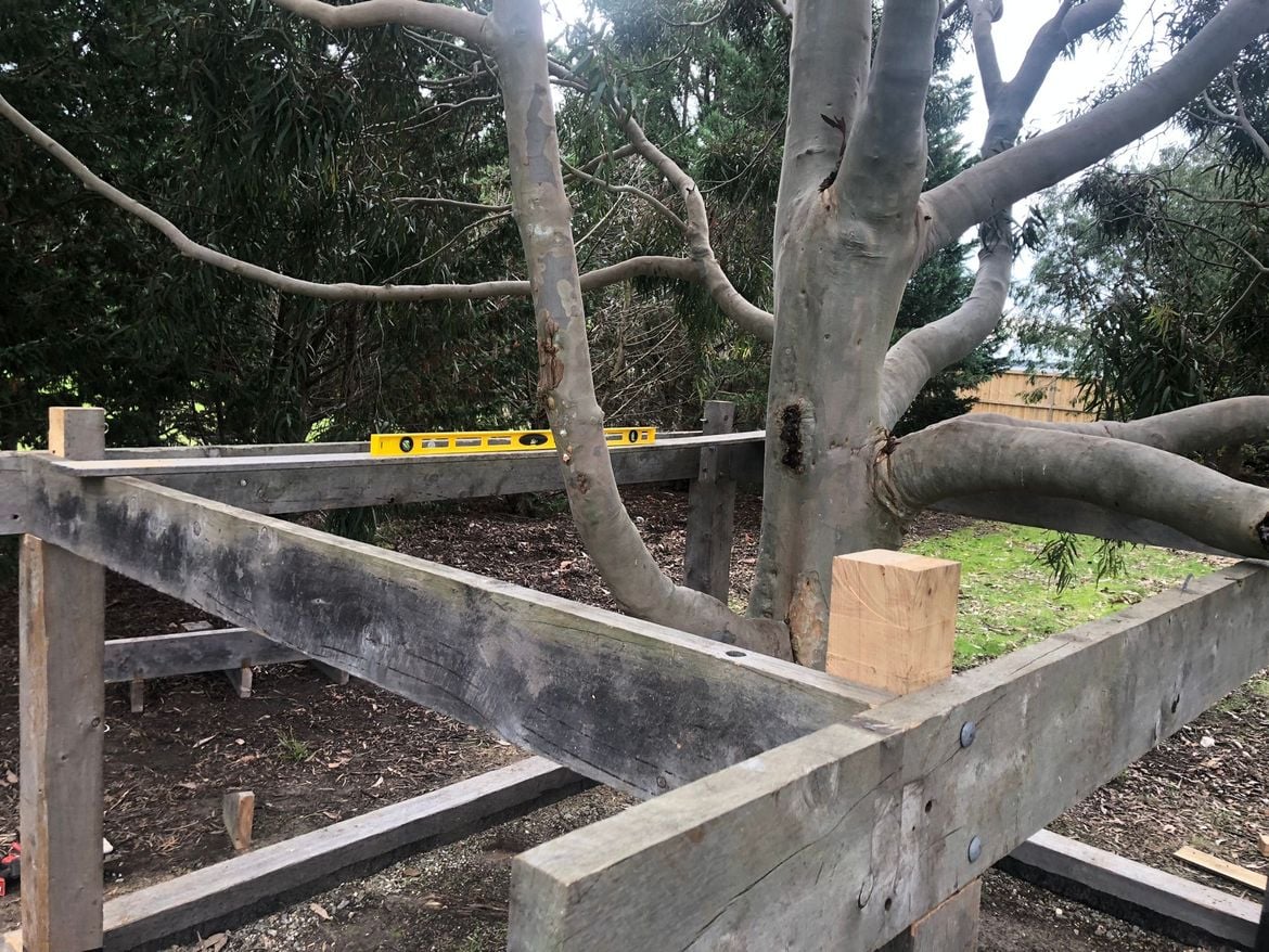 IMG_0549.JPEG IMG_0549.JPEG