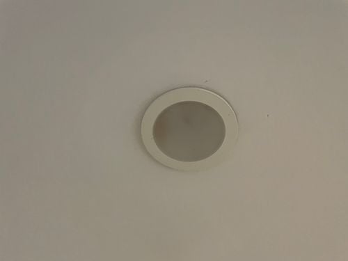 IMG_7838.jpeg IMG_7838.jpeg