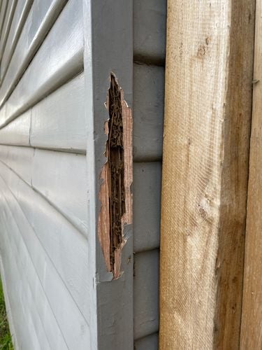 IMG_6846 copy.jpg IMG_6846 copy.jpg