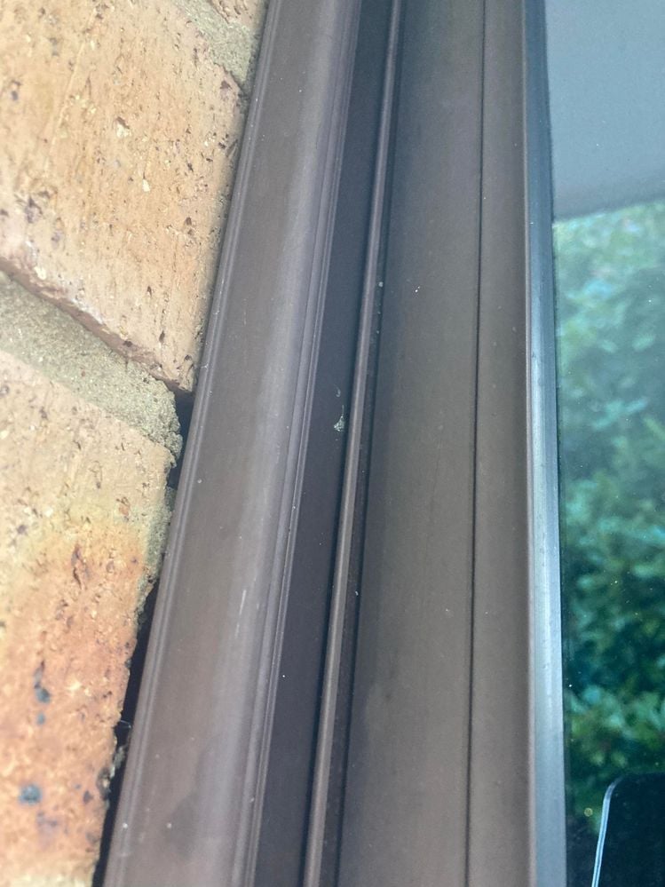 gap growing.jpg gap growing.jpg