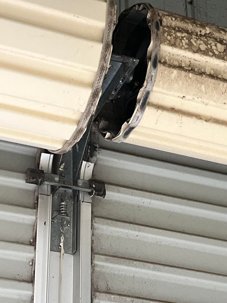 IMG_2481.jpg IMG_2481.jpg