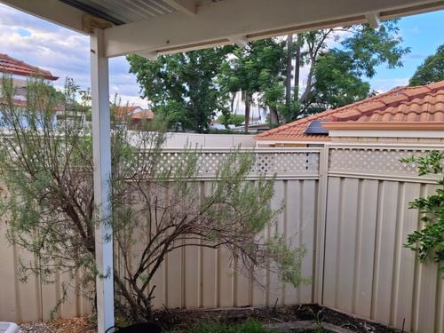 1000010757.jpg 1000010757.jpg