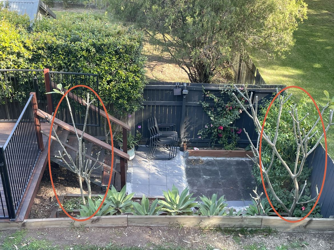 IMG_9446.jpg IMG_9446.jpg