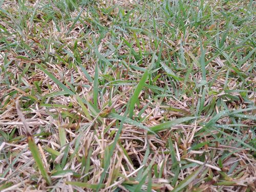 20240925_081351.jpg 20240925_081351.jpg