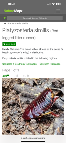 IMG_6464.png IMG_6464.png