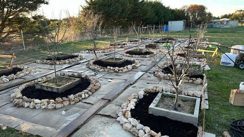 IMG_4650.jpeg IMG_4650.jpeg