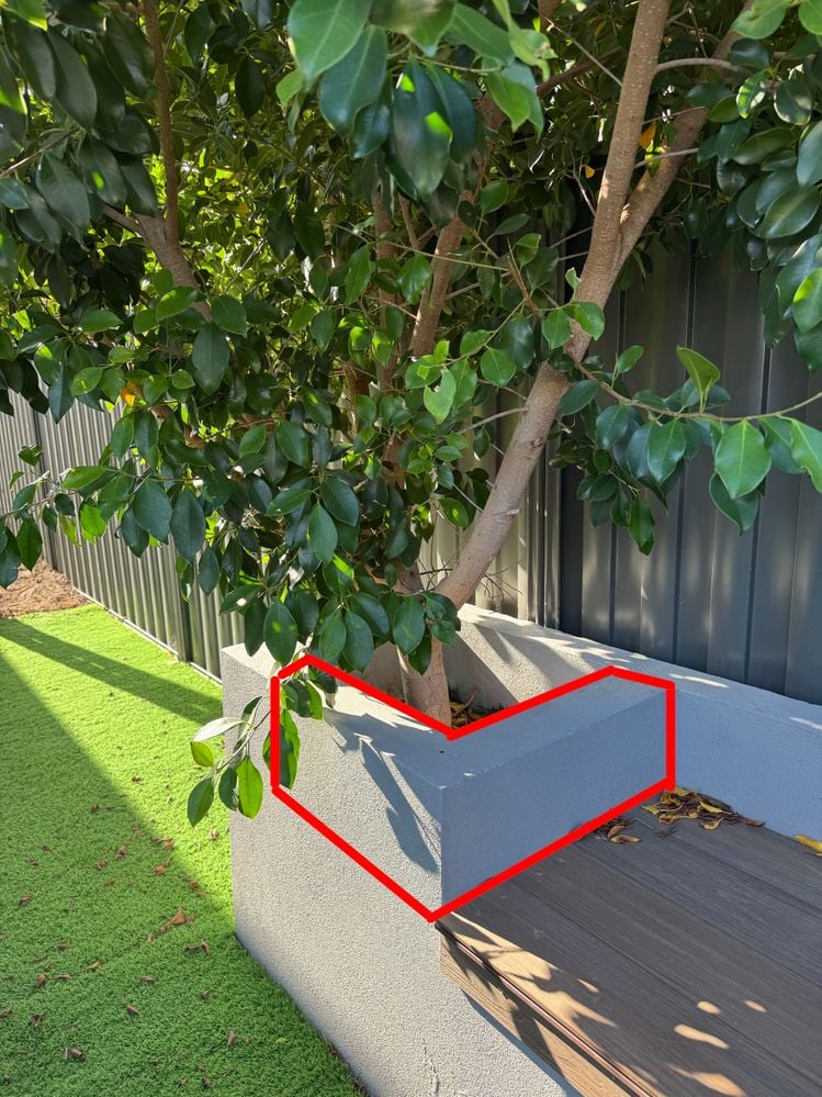 IMG_0005.JPG IMG_0005.JPG