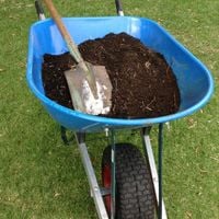 4. Use premium potting mix.jpg 4. Use premium potting mix.jpg