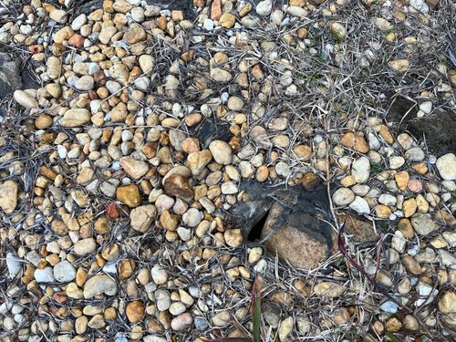 IMG_9118.jpeg IMG_9118.jpeg