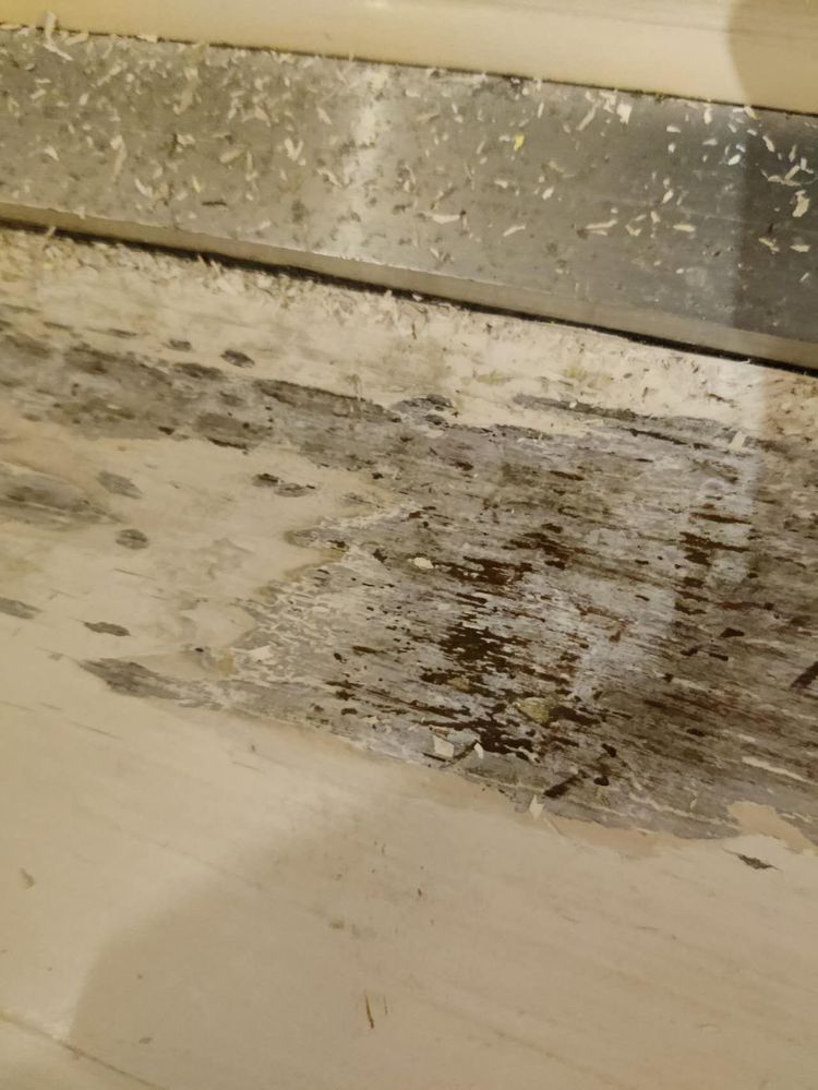 832de62e50c516f6117d4f1d19a571d.jpg 832de62e50c516f6117d4f1d19a571d.jpg