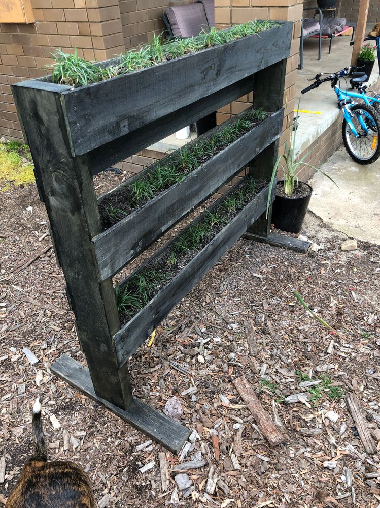 5E6E9961-779F-43AE-84C1-3B66B5734EC2.jpeg 5E6E9961-779F-43AE-84C1-3B66B5734EC2.jpeg