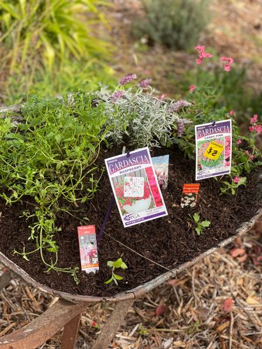 5B0E5148-0015-48C1-BCD3-C6C1C1F2EC3B.jpeg 5B0E5148-0015-48C1-BCD3-C6C1C1F2EC3B.jpeg