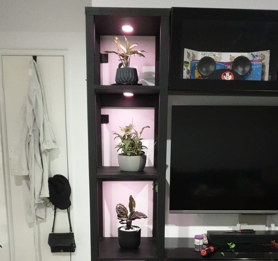 PlantStand.jpeg PlantStand.jpeg