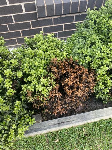 3F47AE0F-EF18-40D5-8892-68A1953CBFA6.jpeg 3F47AE0F-EF18-40D5-8892-68A1953CBFA6.jpeg