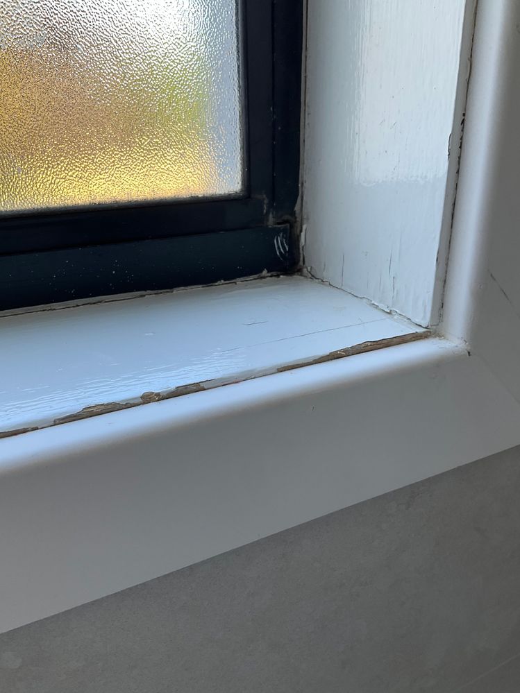 IMG_0039.jpeg IMG_0039.jpeg