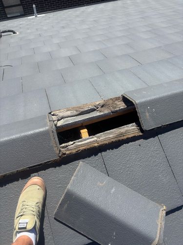 IMG_5764.jpeg IMG_5764.jpeg