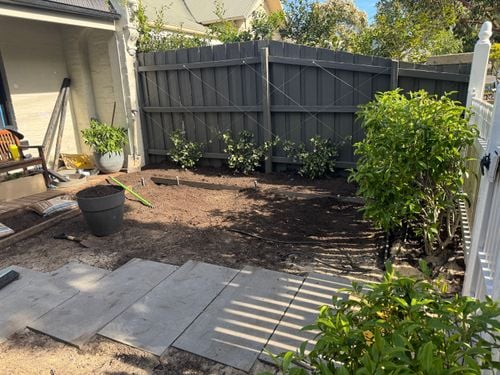 IMG_5589.jpeg IMG_5589.jpeg