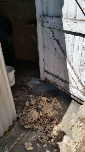 20201105_113508.jpg 20201105_113508.jpg