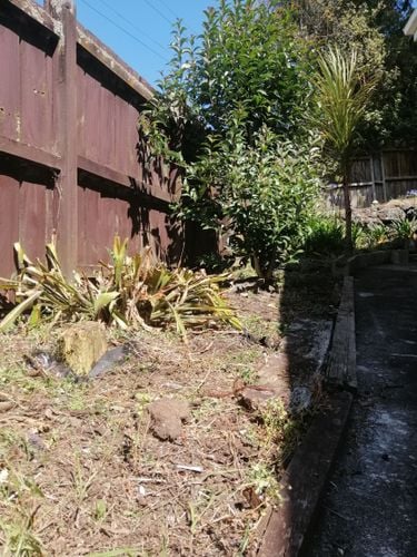 IMG_20191210_102512.jpg IMG_20191210_102512.jpg