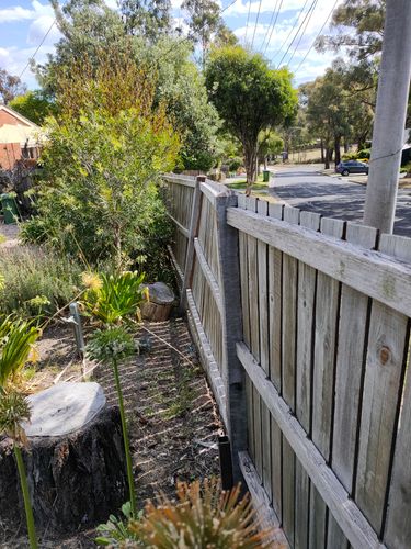 IMG20220313145232.jpg IMG20220313145232.jpg