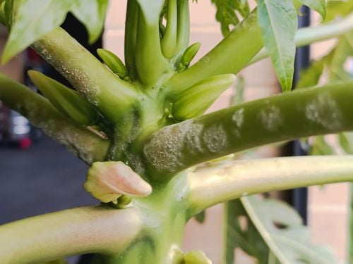 IMG_20250816_131349.jpg IMG_20250816_131349.jpg