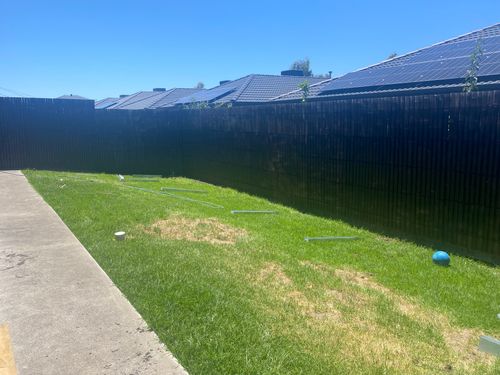 IMG_6308.jpeg IMG_6308.jpeg