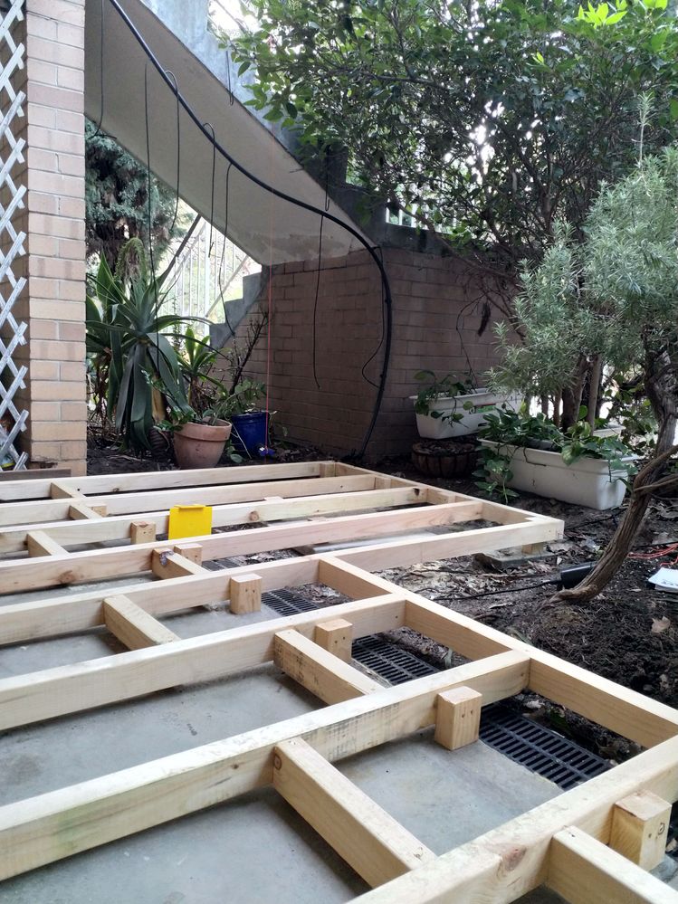 IMG_20220820_170332.jpg IMG_20220820_170332.jpg