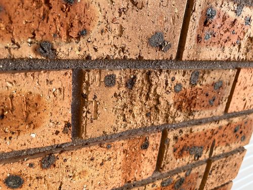 IMG_6327.jpeg IMG_6327.jpeg