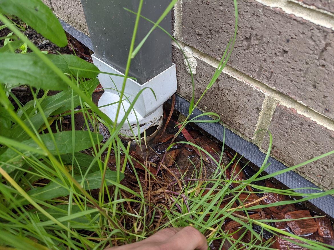 PXL_20211001_013810559.MP.jpg PXL_20211001_013810559.MP.jpg