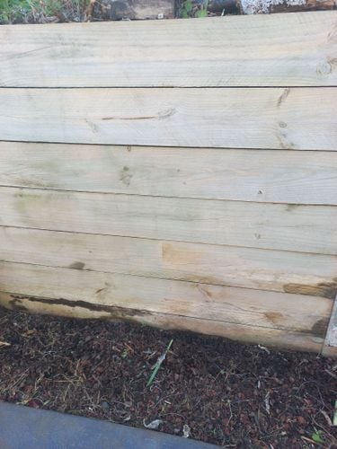 20250511_125034.jpg 20250511_125034.jpg