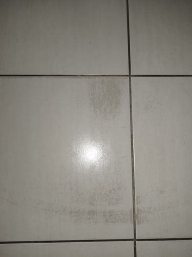 IMG_20230426_154437.jpg IMG_20230426_154437.jpg