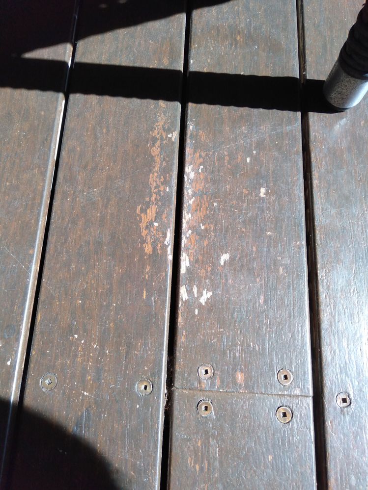 IMG20240405110254.jpg IMG20240405110254.jpg