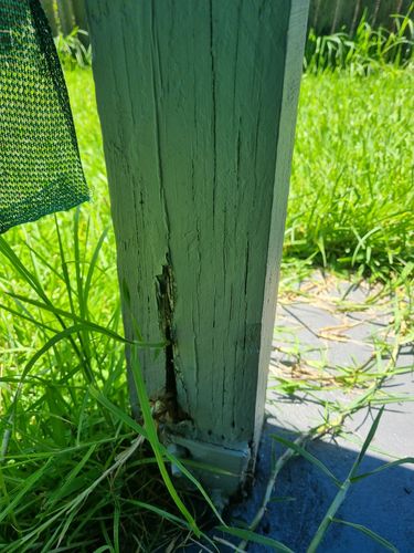 1000042379.jpg 1000042379.jpg