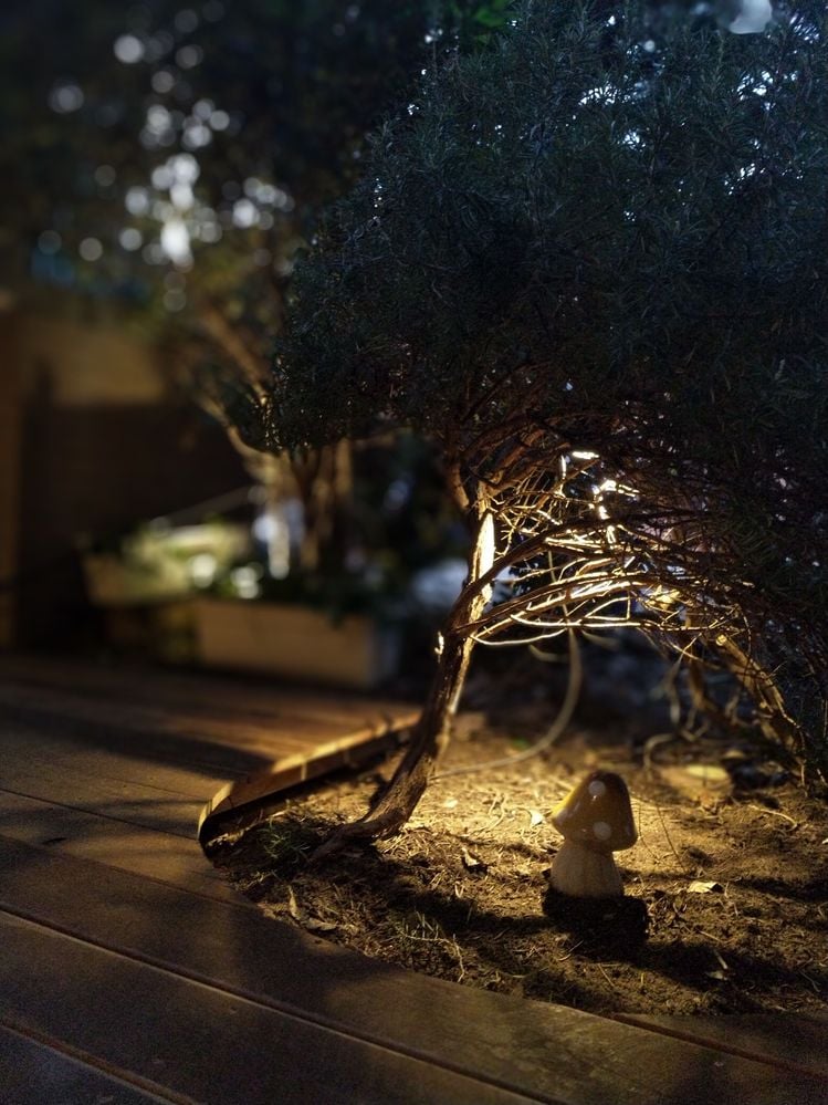 IMG_20220828_175942.jpg IMG_20220828_175942.jpg