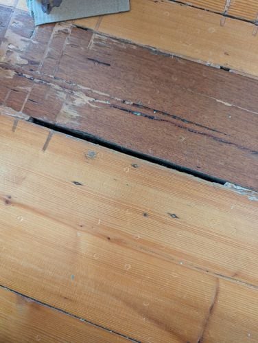 1000023520.jpg 1000023520.jpg