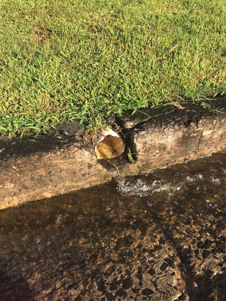 67 15-01-2022.jpg 67 15-01-2022.jpg