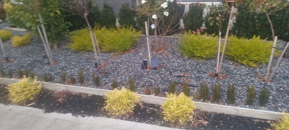 20250627_082951.jpg 20250627_082951.jpg