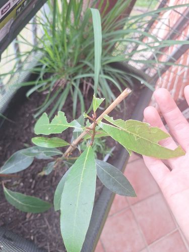 17307874954644146018933715707625.jpg 17307874954644146018933715707625.jpg