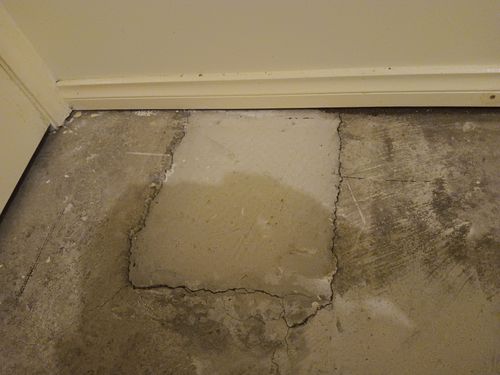 16896741700963754276103323760240.jpg 16896741700963754276103323760240.jpg