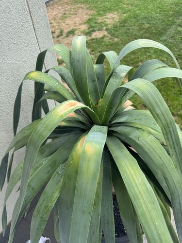 IMG_8368.jpeg IMG_8368.jpeg