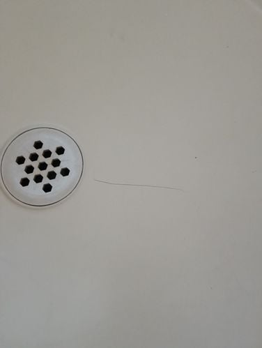 1000005543.jpg 1000005543.jpg