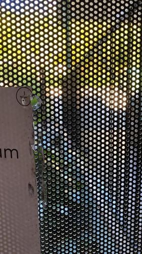 IMG_5371.jpeg IMG_5371.jpeg