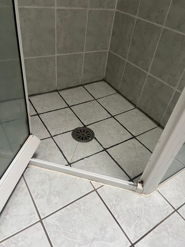 IMG_2269.jpeg IMG_2269.jpeg