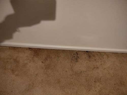 1000090336.jpg 1000090336.jpg